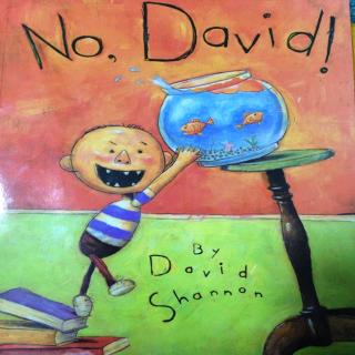 【多多共读】No David! 大卫不可以