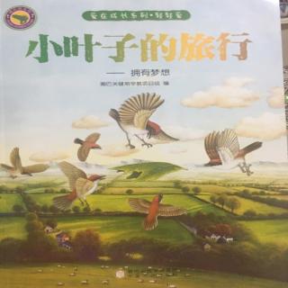 《小叶子的旅行》