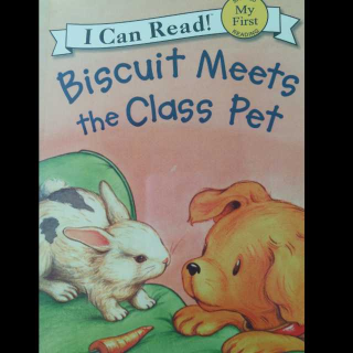 11.Biscuit Meets the Clasd Pet