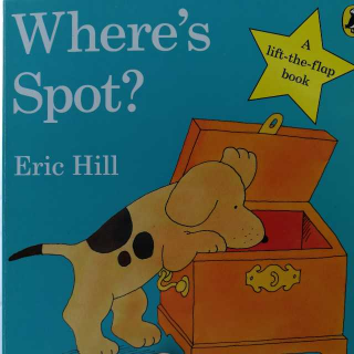 where is spot?