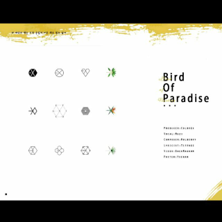 【2017应援曲】《Bird of Paradise》
