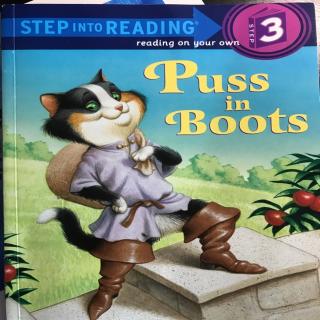 S3-Puss in Boots-20170804