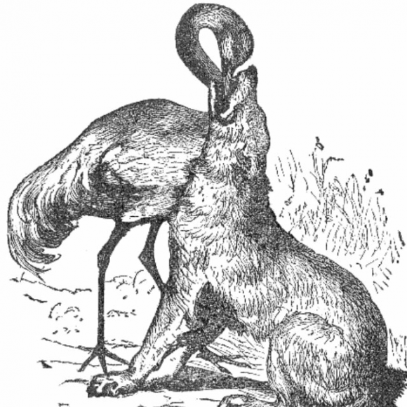 00:00 00:00  0 the wolf and the crane狼与鹭鸶    a wolf who had