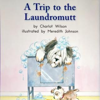 G1 book110 A trip to the laundromutt