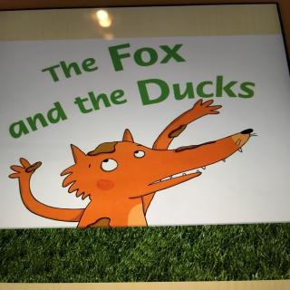 96:the fox and the ducks