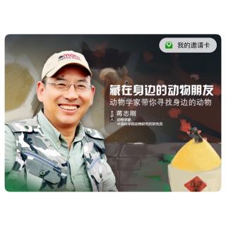 贝安转播第四十四讲：老黄牛：农民伯伯的好帮手