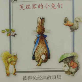 海阳故事【夫丝家的小兔们🐰☞最后一段】