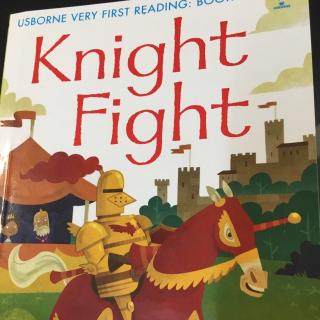 20170806 Knight Fight