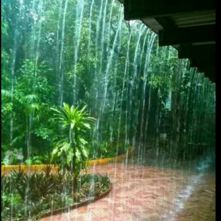 往事随风随雨/白发渔椎