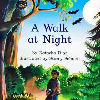 G1 book100 A walk at night