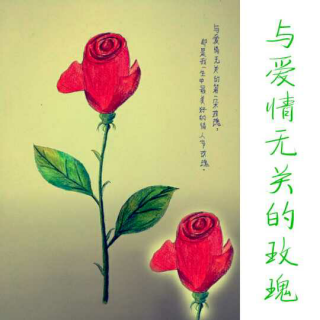 【青春故事】NO.43  与爱情无关的玫瑰