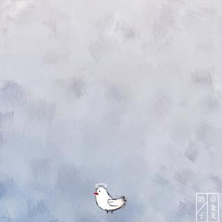 【第八十二封】鸽子（cover.徐秉龙