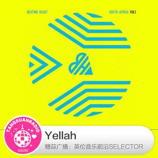 糖蒜爱音乐之The Selector：Yellah