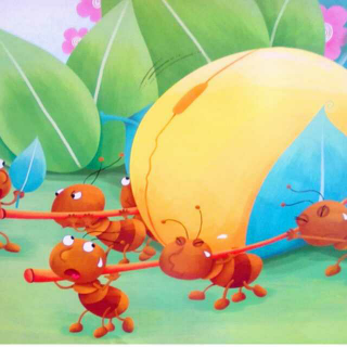 小蚂蚁运花粉🍃