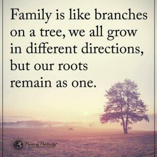 [家人]像树的分支Family is Like Branches On A Tree