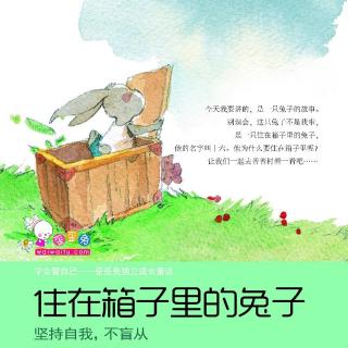 张3⃣️岁讲故事之《住在箱子里的兔子🐰》