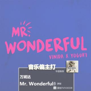 【音乐偏主打】Vinida全新单曲，致敬每个追寻“Mr. Wonderful”的人