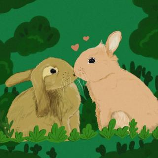 【睡前故事】兔子和馅饼
