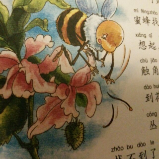 钰钰读知道童话—小蜜蜂的触角