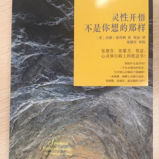 《灵性开悟不是你想的那样》3.大想法