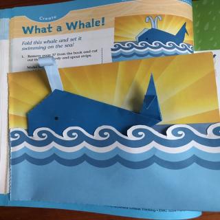 What a whale!