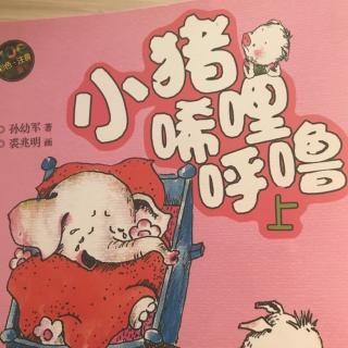 小猪🐷唏哩呼噜之《大狼叼走了唏哩呼噜》