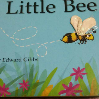 【英语故事】Little Bee