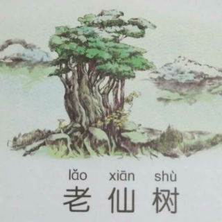 杨红樱童话: 笨笨猪不笨（3）老仙树