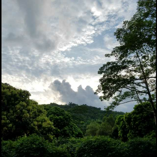 追忆似水年华 卷一 贡布雷10