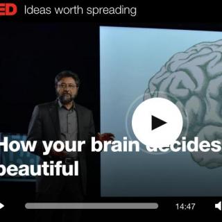 ANJAN CHATTERJEE How your brain decides what is beautiful
