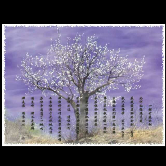 00:00 00:00  15 《一棵开花的树》—— 席慕容    如何让你遇见我