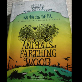 动物远征队第11章倾盆大雨