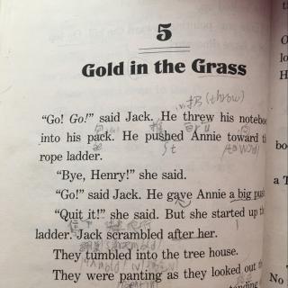chapter5:Gold in the grass