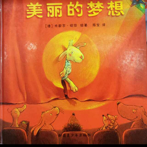 美丽的梦想