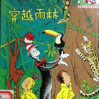 6岁宝宝讲第225个绘本故事《穿越雨林》