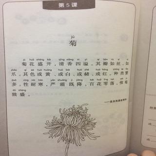 菊小古文拼音图片