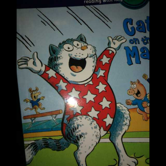 兰登2(5)cat on the mat