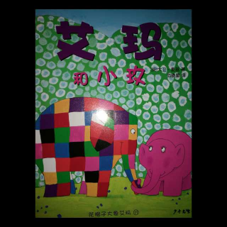 花格子大象艾玛:艾玛和小玖