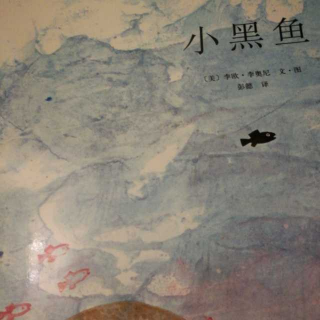 共读《小黑鱼》