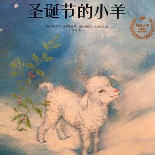 圣诞节的小羊🎄🐑