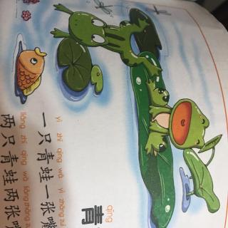 绕口令《青蛙歌》