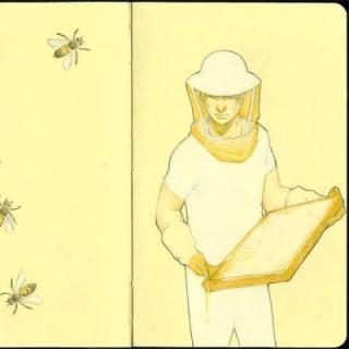 【蜂蜜大叔时间】蜂蜜有保质期吗？