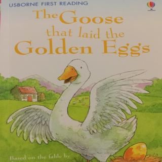 Usborne Young Reading: The Goose that laid the Holden Eggs