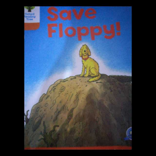 Save Floppy!🐕🐦🔑