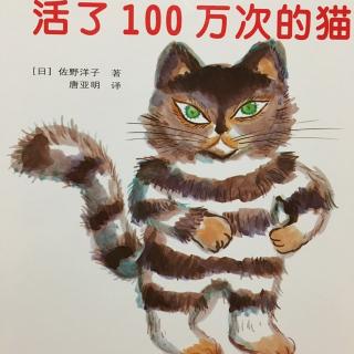 活了100万次的猫