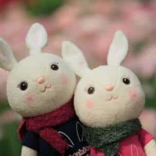 小兔子和大兔子的故事