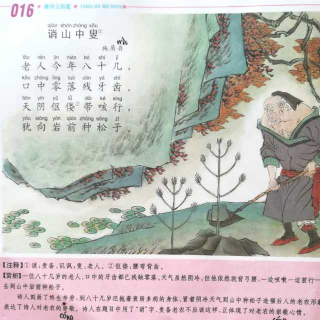 古诗-雷其昊-《诮山中叟》