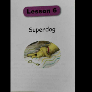 5B ~06 Superdog