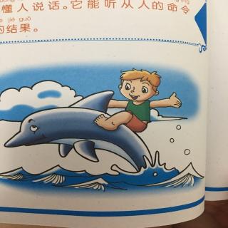 十万个为什么-海豚🐬能听懂人说话吗？