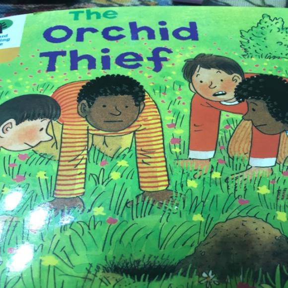 牛津阅读树dd5-2 orchid thief